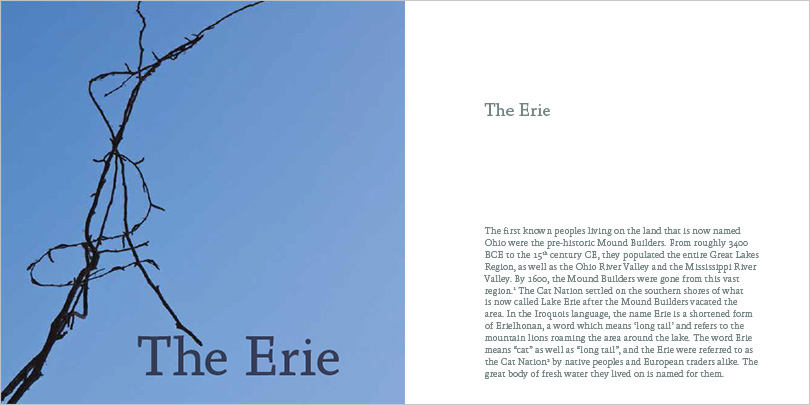 Cover of The Erie