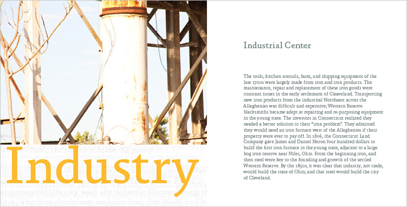 Cover of Industry